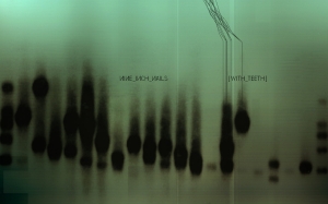 nin