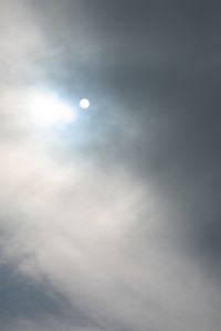 img_0230