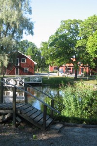 img_0878