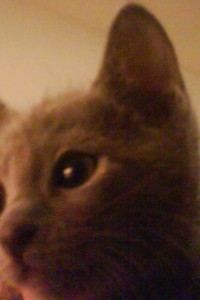 dsc01319