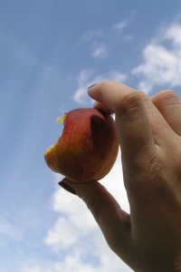 P6280023