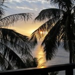 IMG_0836