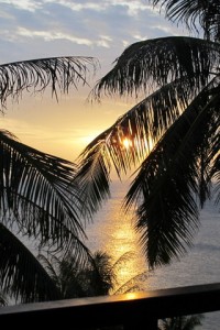 IMG_0836