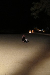 IMG_0941