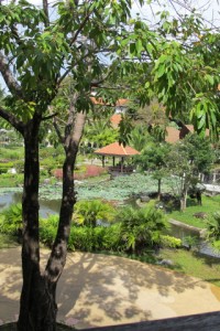 IMG_0947