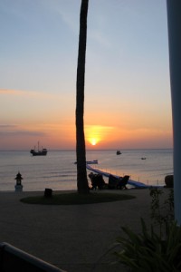 IMG_1050