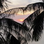 IMG_1104