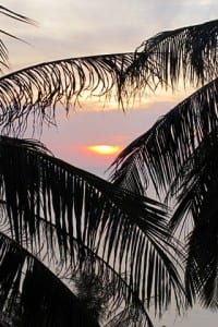 IMG_1104