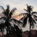 IMG_1122