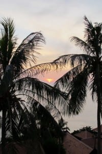 IMG_1122