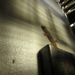 IMG_1188