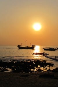 IMG_1227