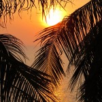 IMG_1307