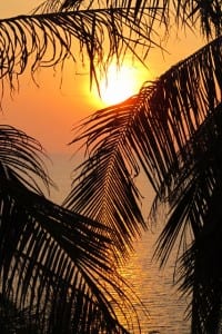IMG_1307